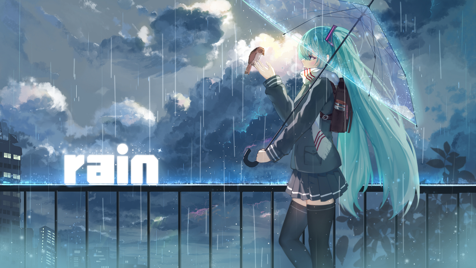 热播8